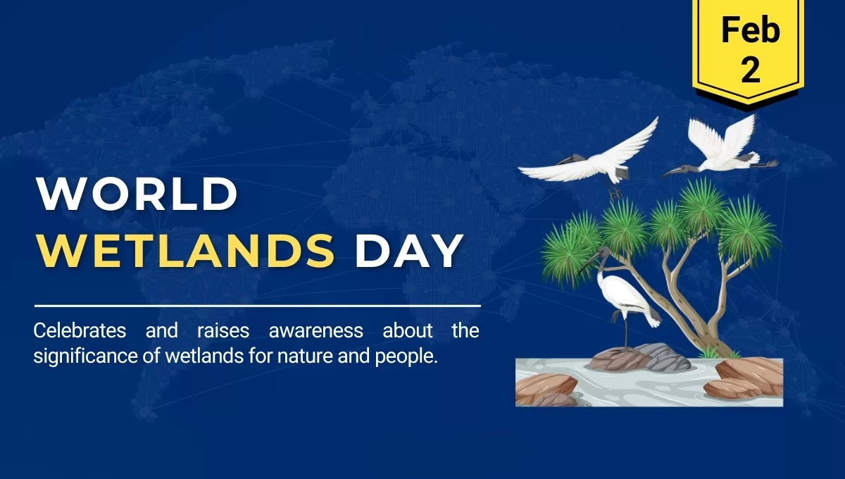 Today 2nd February World Wetlands Day 2024 Wetlands are unique