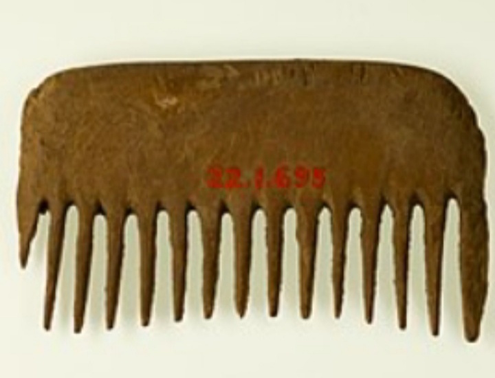 Do you know Combs have been used since prehistoric times, having been discovered in very refined forms from settlements dating back to 5,000 years ago in Persia.