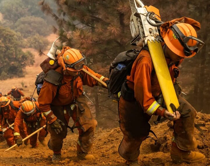 What role do inmates play in California’s wildfire response?Imprisoned people are a contingent of the crews working to put out LA’s huge fires.Nearly 1,000 incarcerated men and women have joined the frontlines in a battle against record-breaking wildfires burning across southern California.